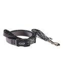 Chaco Dog Leash